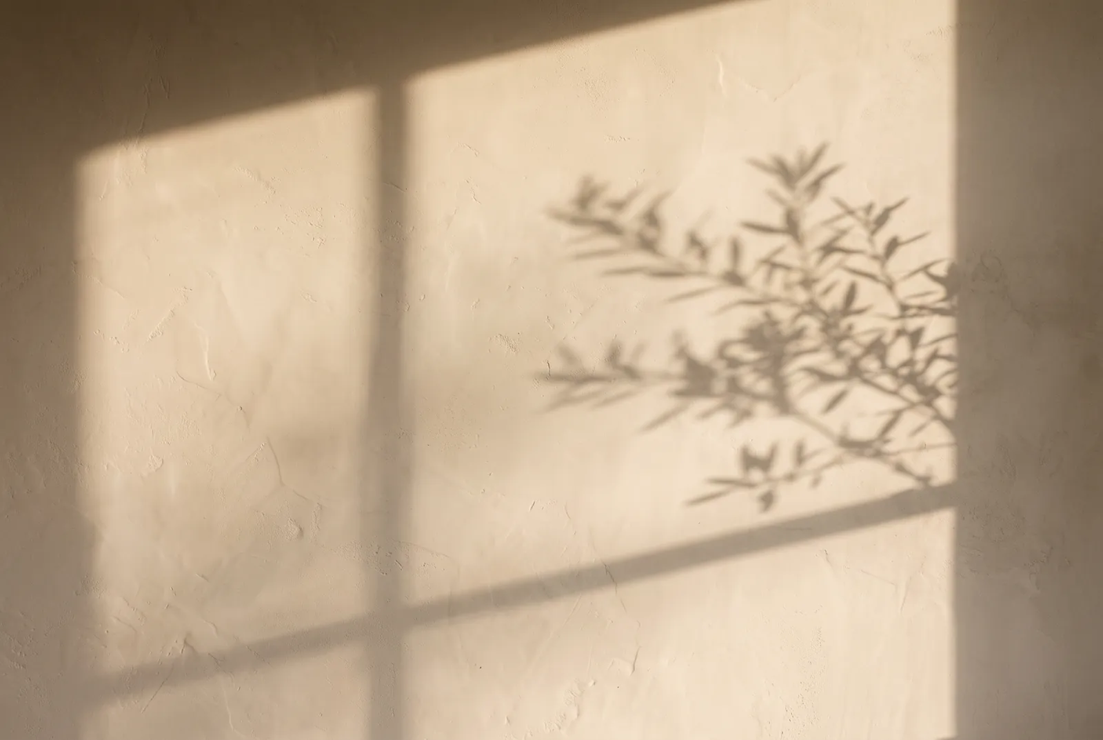 Soft light falling across a plaster wall